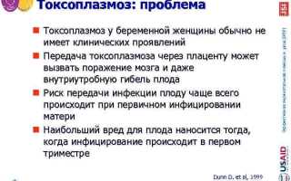Как влияет токсоплазмоз при беременности на будущего ребенка