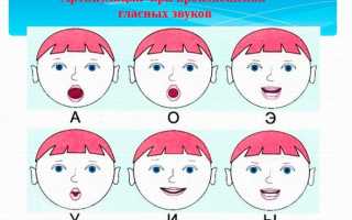 Артикуляция: понятие, этапы формирования, особенности произношения гласных и согласных